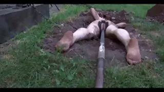 Элизагийн шивэгчин уруу татагдахгүйн босс хүү байсан fucked түүнд