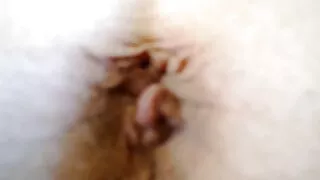Идээлсэн Latina өгөх соло хатуу секс