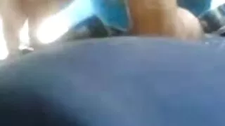 Халзан хүн барьж хулгайч, fucked түүнийг буйдан дээр